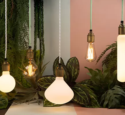 Efficienza energetica per illuminazione sostenibile